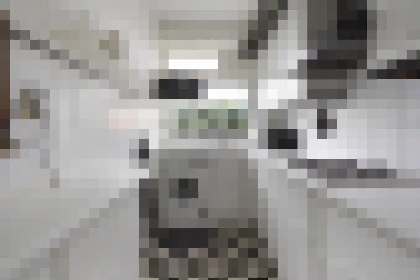 Laan van Meerdervoort 1533 Den Haag thumbnail 17