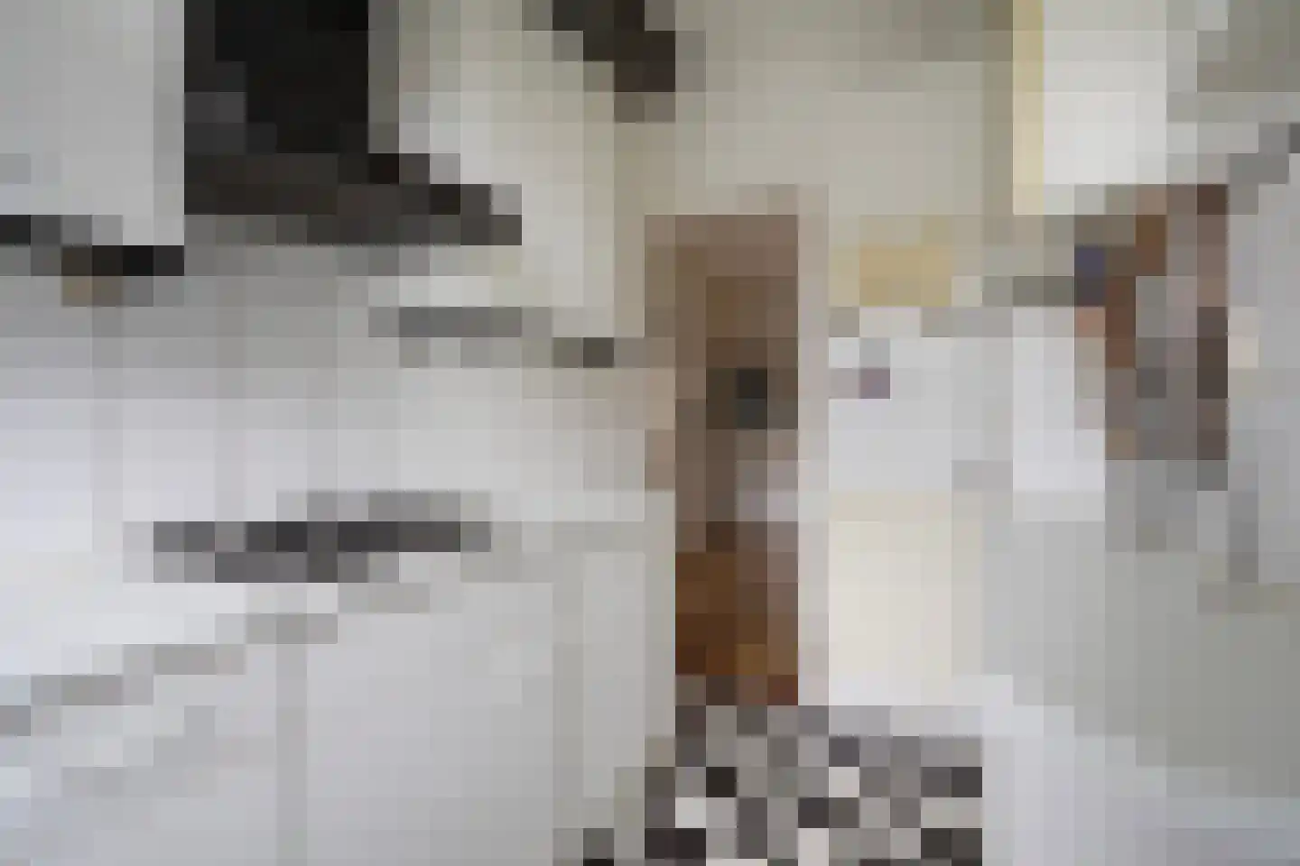 Laan van Meerdervoort 1533 Den Haag thumbnail 18