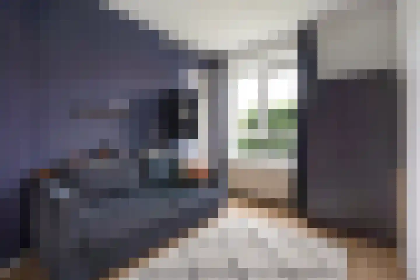 Laan van Meerdervoort 1533 Den Haag thumbnail 20
