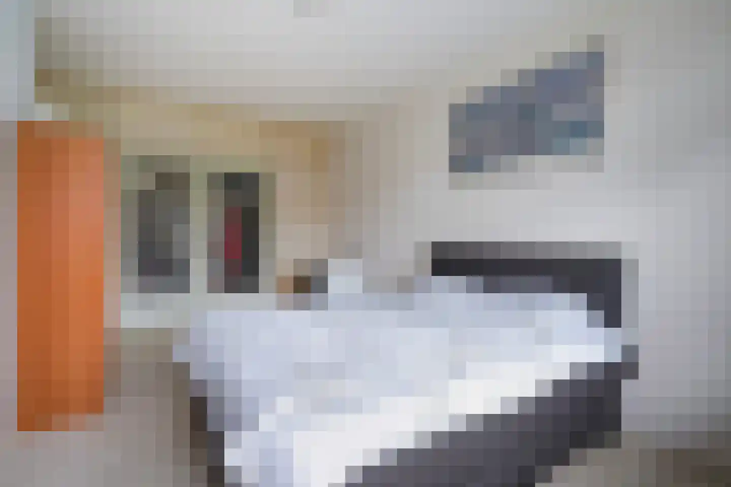 Laan van Meerdervoort 1533 Den Haag thumbnail 25