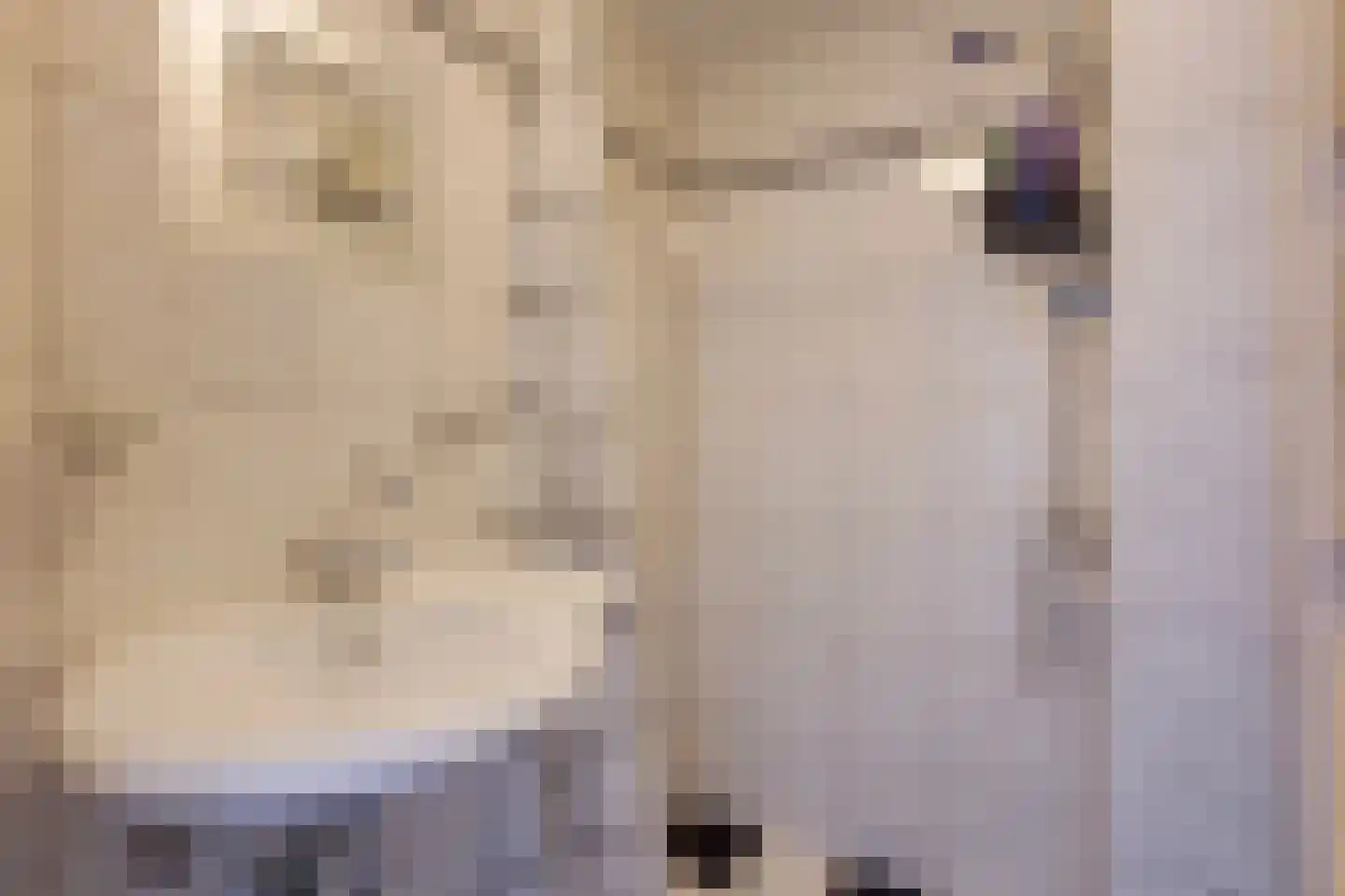 Laan van Meerdervoort 1533 Den Haag thumbnail 27