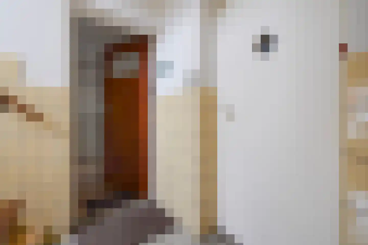 Laan van Meerdervoort 1533 Den Haag thumbnail 6