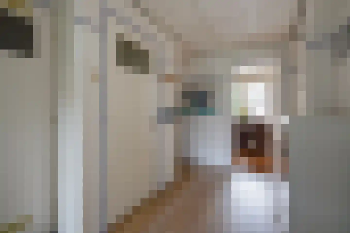 Laan van Meerdervoort 1533 Den Haag thumbnail 7