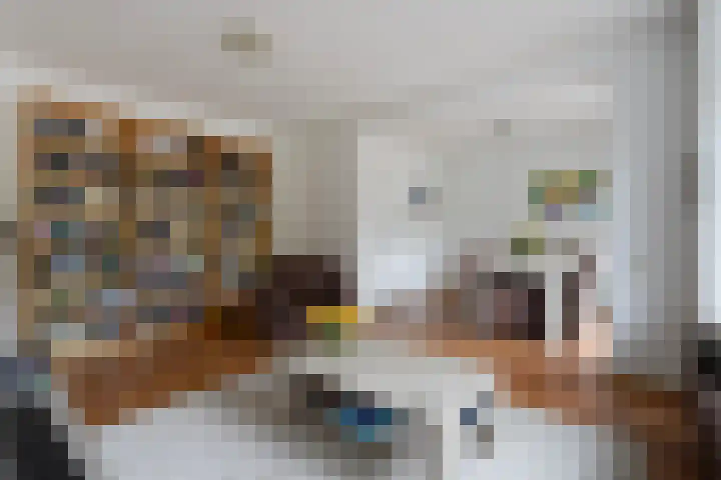 Laan van Meerdervoort 1533 Den Haag thumbnail 9