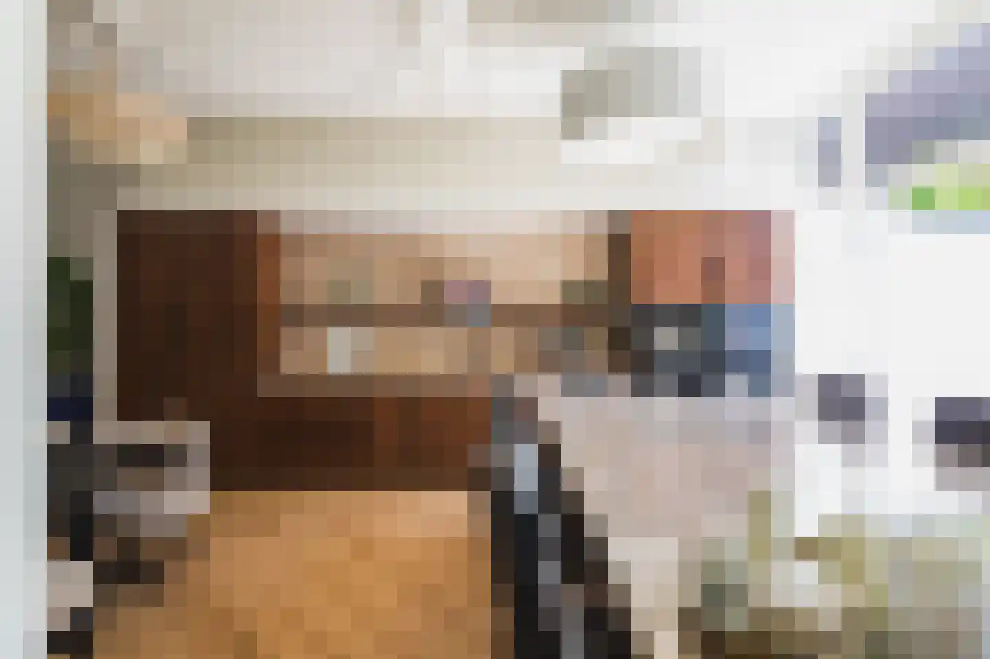 Laan van Meerdervoort 154 Den Haag thumbnail 16