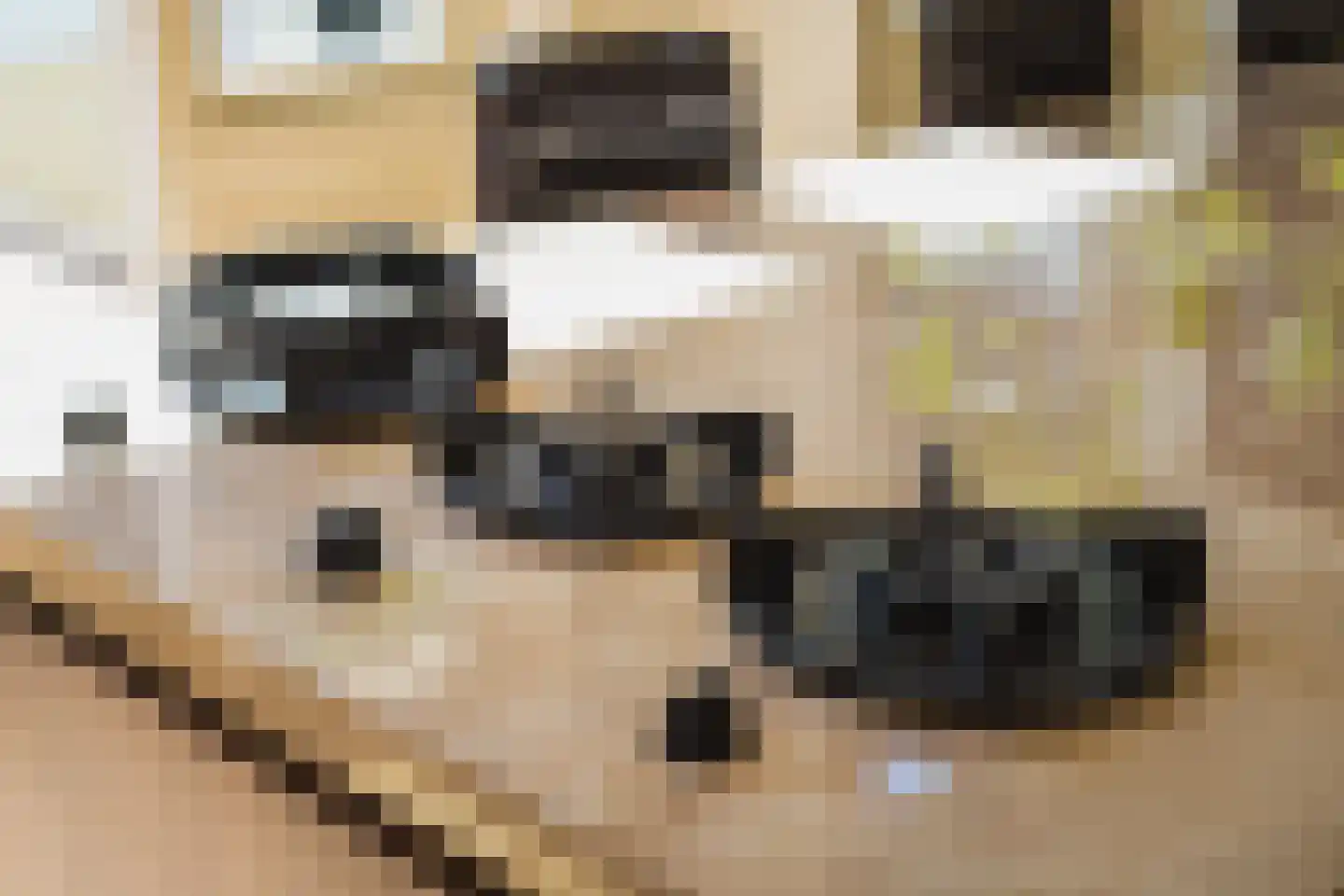 Laan van Meerdervoort 154 Den Haag thumbnail 19