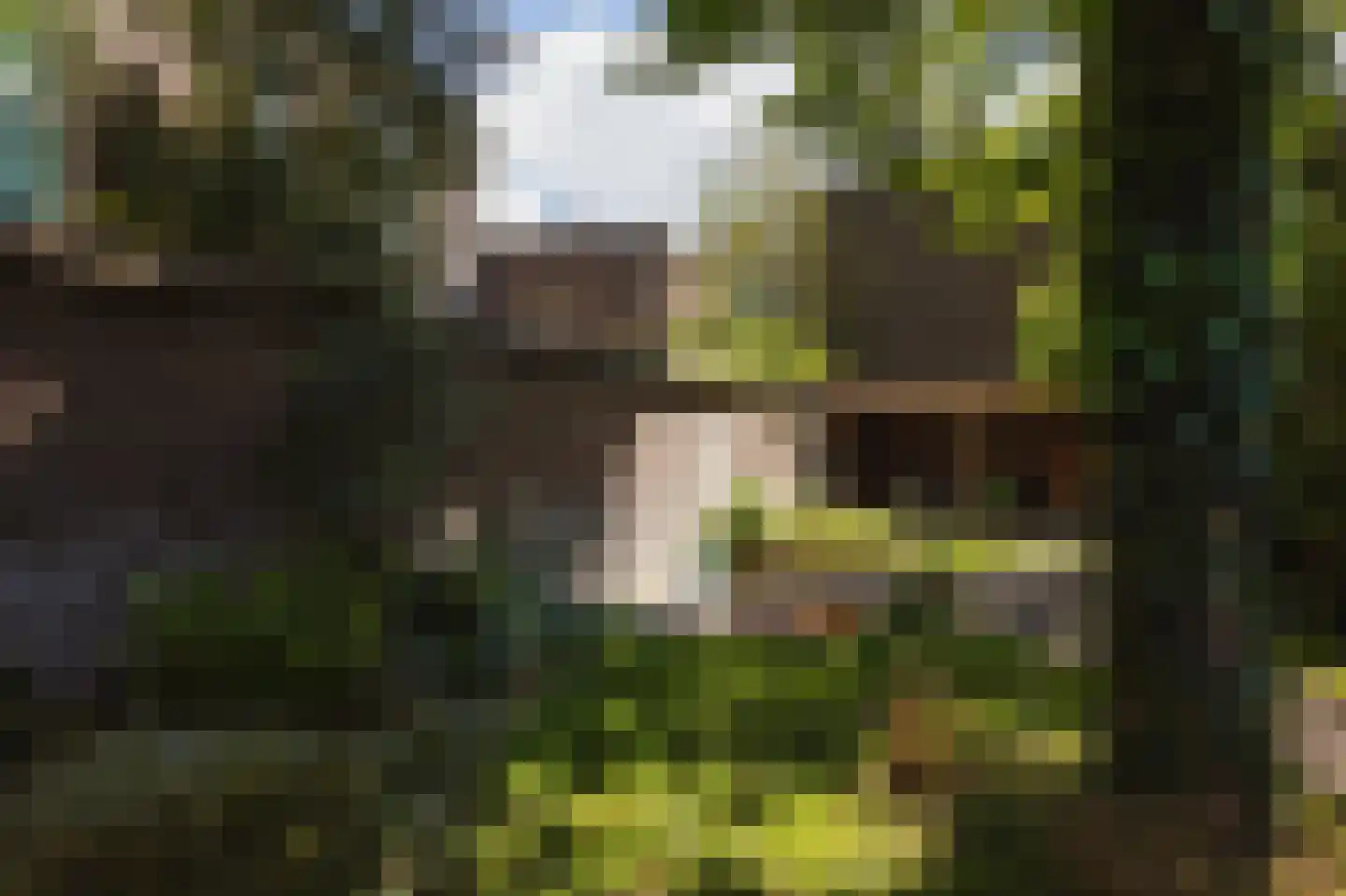 Laan van Meerdervoort 154 Den Haag thumbnail 27