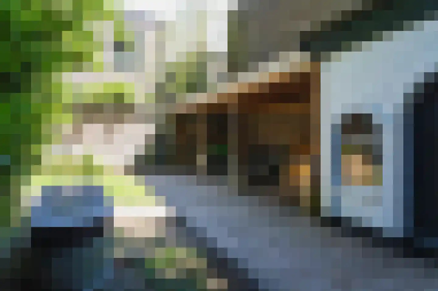 Laan van Meerdervoort 154 Den Haag thumbnail 30
