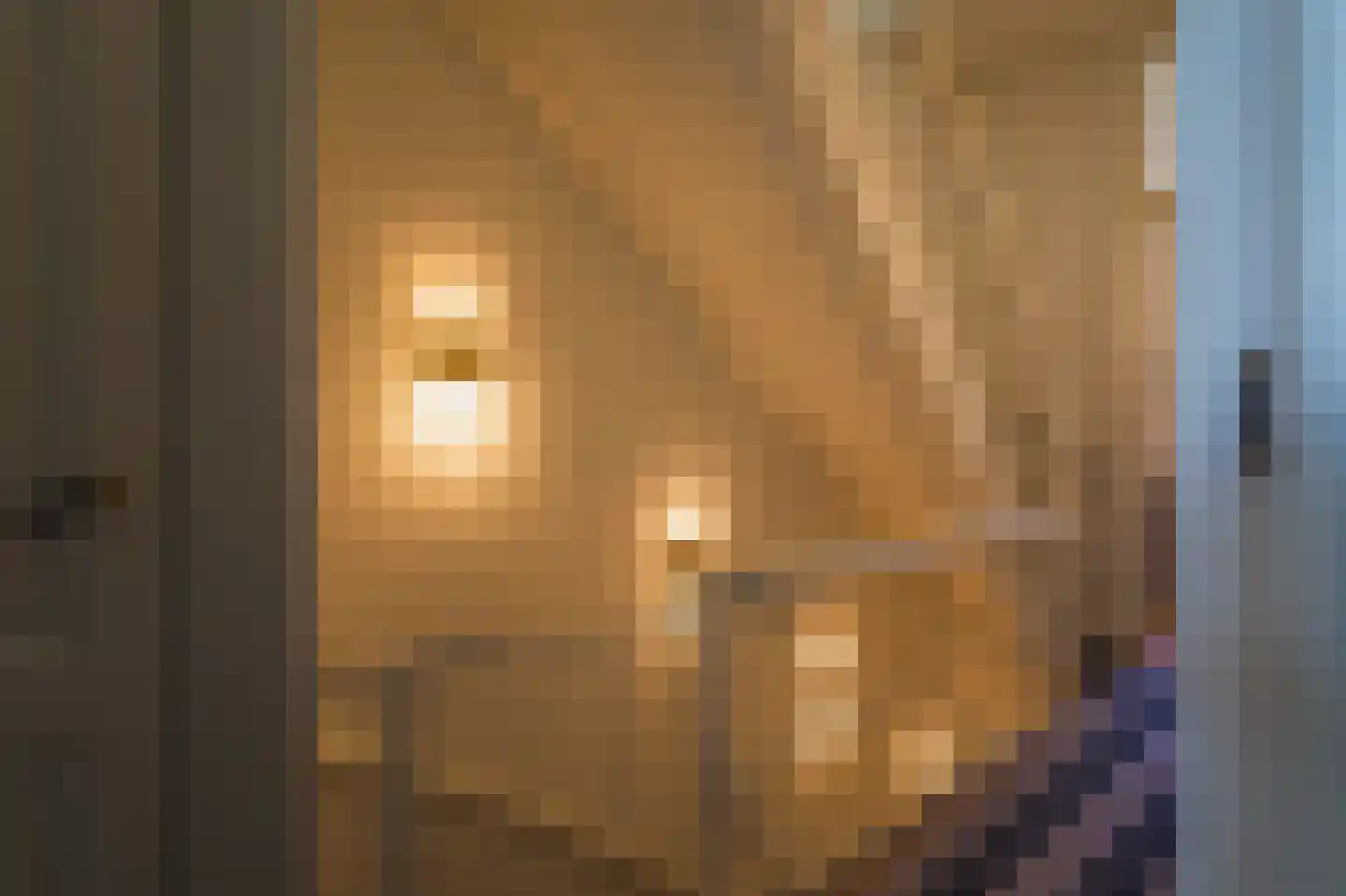 Laan van Meerdervoort 154 Den Haag thumbnail 34