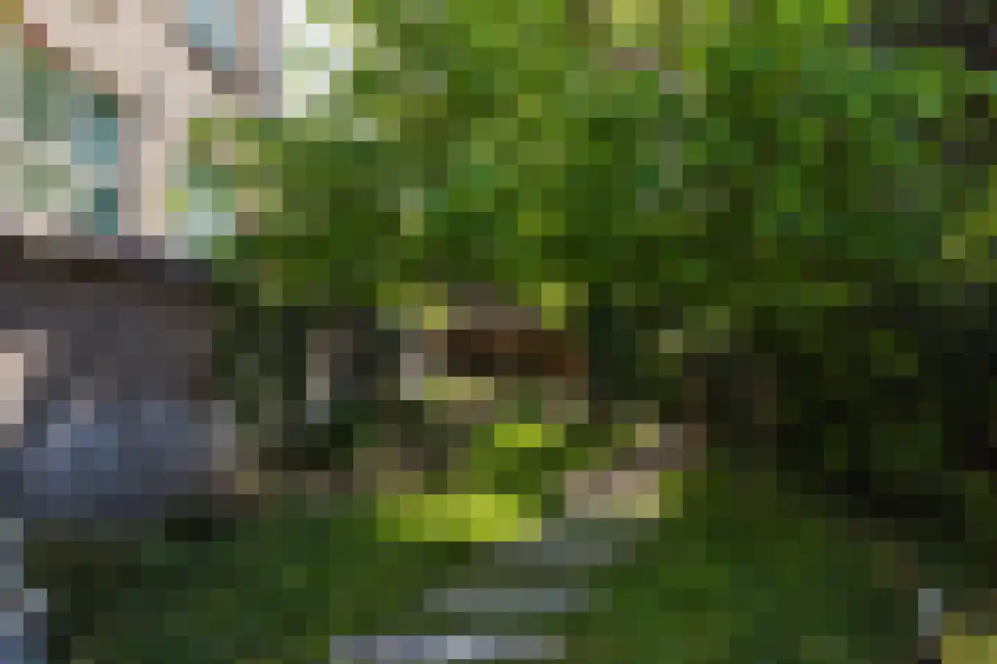 Laan van Meerdervoort 154 Den Haag thumbnail 4