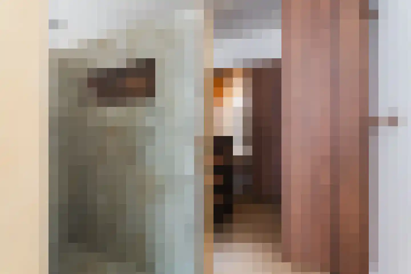 Laan van Meerdervoort 154 Den Haag thumbnail 44