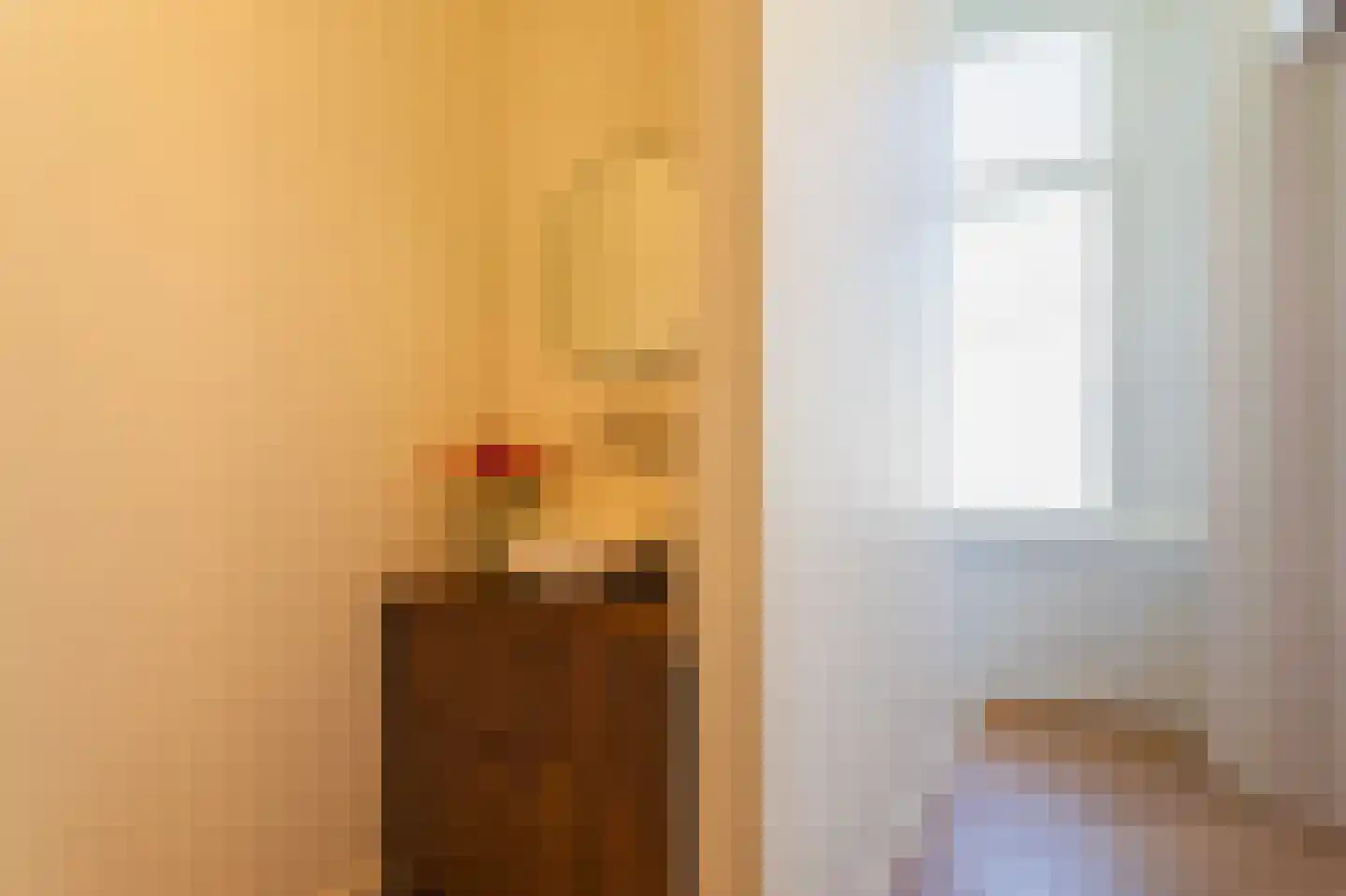 Laan van Meerdervoort 154 Den Haag thumbnail 52