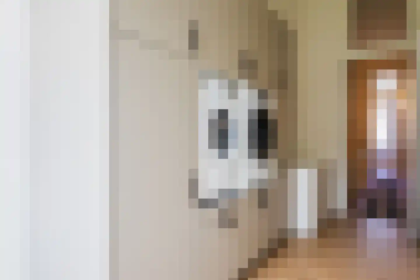 Laan van Meerdervoort 154 Den Haag thumbnail 55