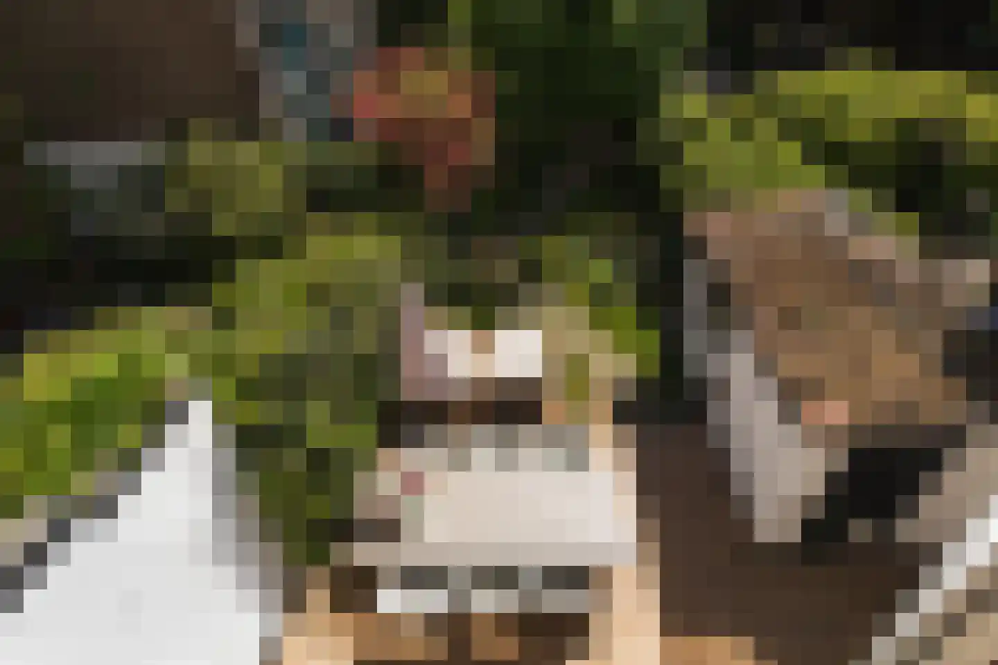 Laan van Meerdervoort 154 Den Haag thumbnail 64