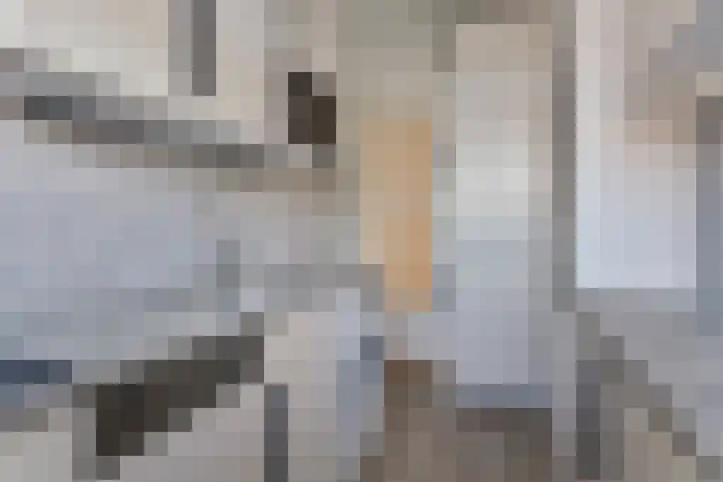 Laan van Meerdervoort 1577 Den Haag thumbnail 6