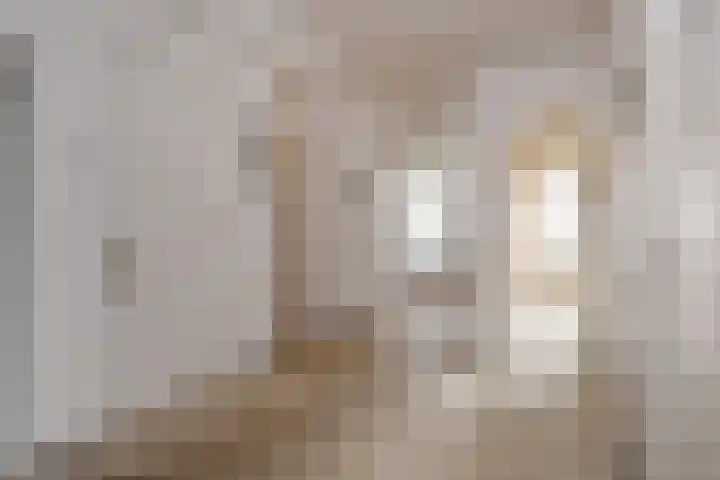 Laan van Meerdervoort 1608 Den Haag thumbnail 18