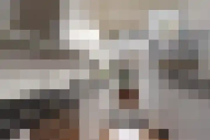 Laan van Meerdervoort 1608 Den Haag thumbnail 19