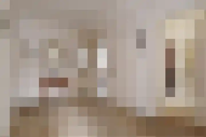 Laan van Meerdervoort 1608 Den Haag thumbnail 23