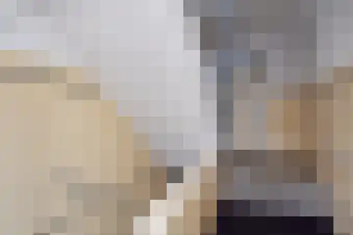 Laan van Meerdervoort 1608 Den Haag thumbnail 9