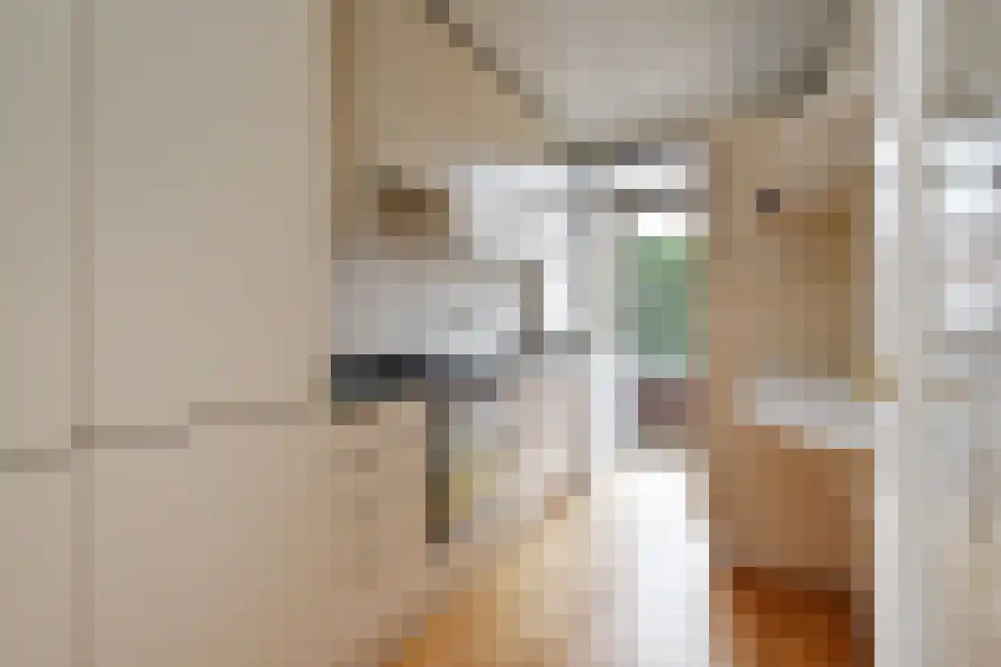 Laan van Meerdervoort 1630 Den Haag thumbnail 11