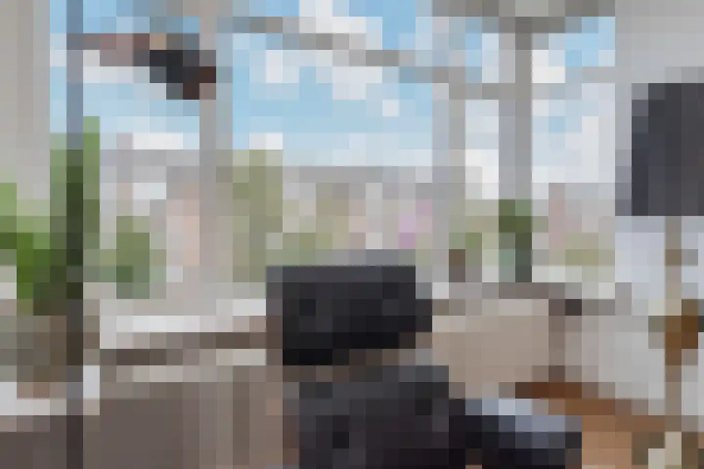 Laan van Meerdervoort 1646 Den Haag thumbnail 20