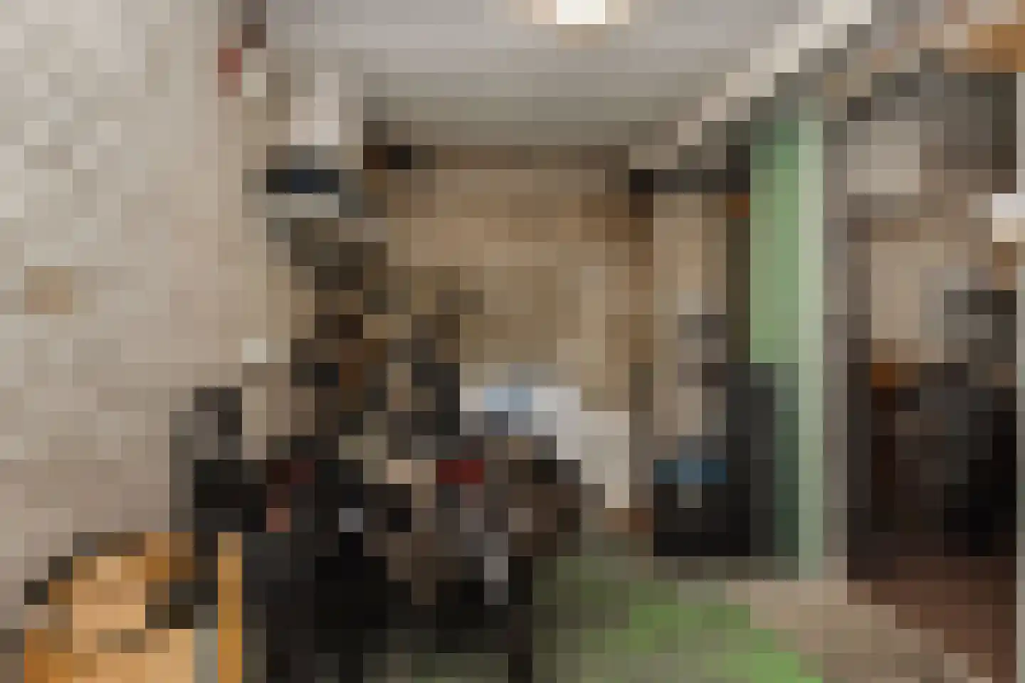 Laan van Meerdervoort 1646 Den Haag thumbnail 46