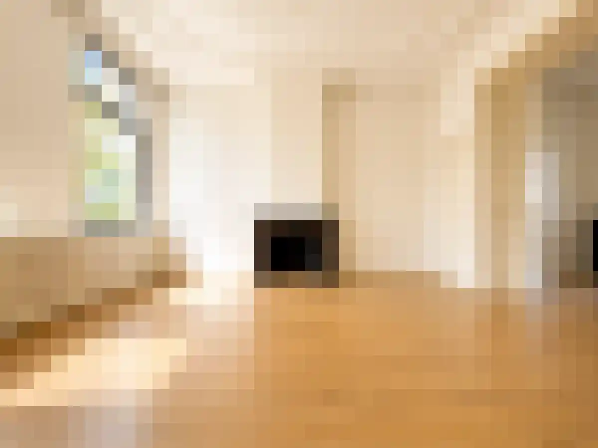 Laan van Meerdervoort 171 A Den Haag thumbnail 5