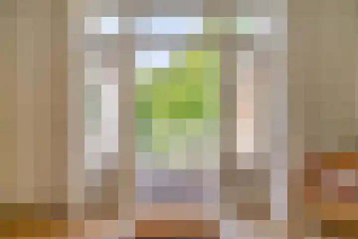 Laan van Meerdervoort 183 B Den Haag thumbnail 13