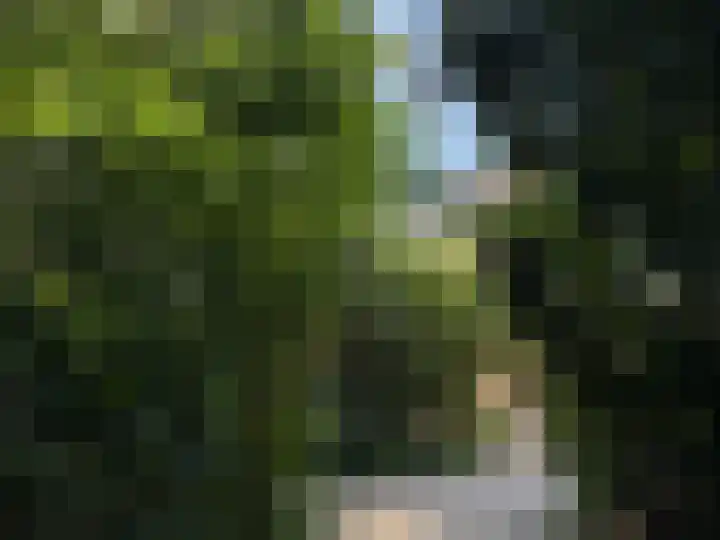 Laan van Meerdervoort 183 B Den Haag thumbnail 28