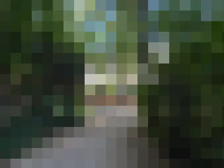 Laan van Meerdervoort 183 B Den Haag thumbnail 29