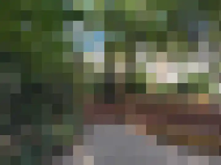 Laan van Meerdervoort 183 B Den Haag thumbnail 30