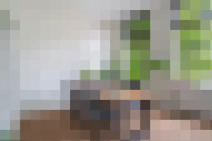 Laan van Meerdervoort 189 C 1 Den Haag thumbnail 12