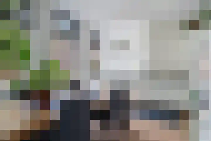 Laan van Meerdervoort 189 C 1 Den Haag thumbnail 14