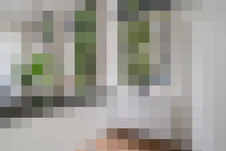 Laan van Meerdervoort 189 C 1 Den Haag thumbnail 21