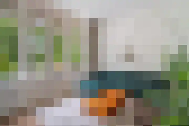 Laan van Meerdervoort 189 C 1 Den Haag thumbnail 24
