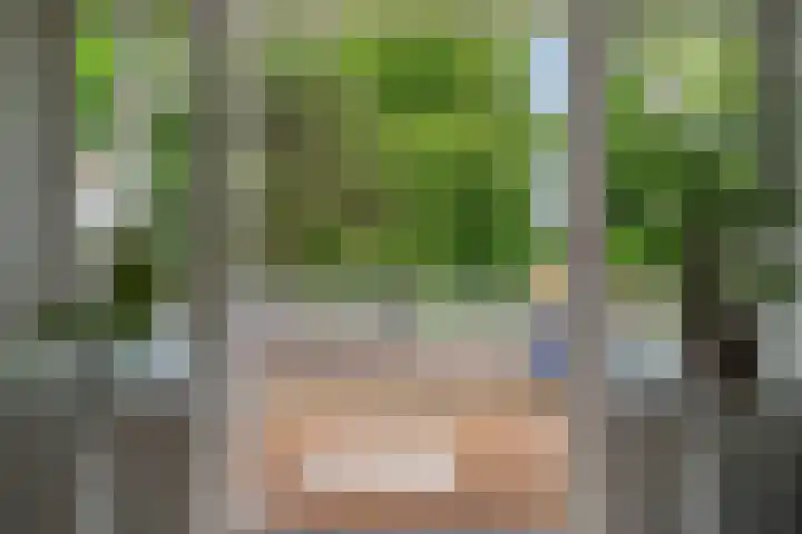 Laan van Meerdervoort 189 C 1 Den Haag thumbnail 28