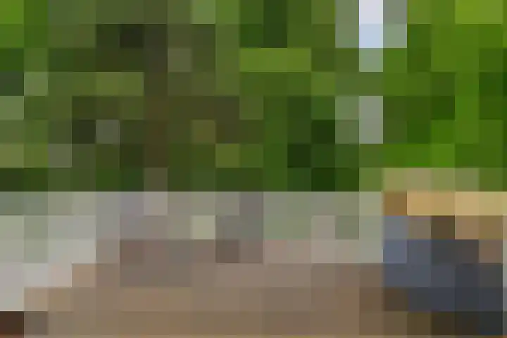 Laan van Meerdervoort 189 C 1 Den Haag thumbnail 29
