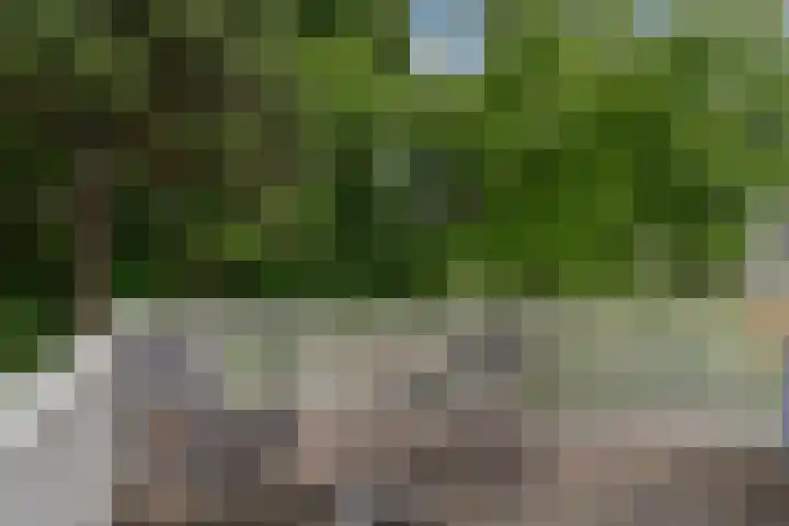 Laan van Meerdervoort 189 C 1 Den Haag thumbnail 30