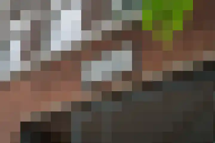 Laan van Meerdervoort 189 C 1 Den Haag thumbnail 47