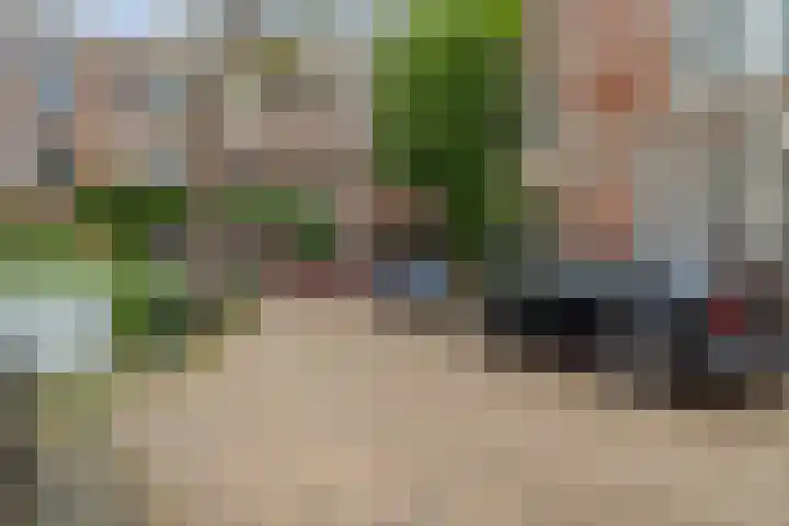 Laan van Meerdervoort 189 C 1 Den Haag thumbnail 48