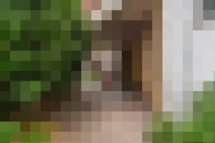 Laan van Meerdervoort 189 C 1 Den Haag thumbnail 49