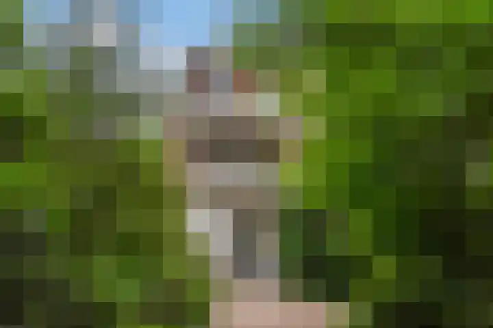 Laan van Meerdervoort 189 C 1 Den Haag thumbnail 50