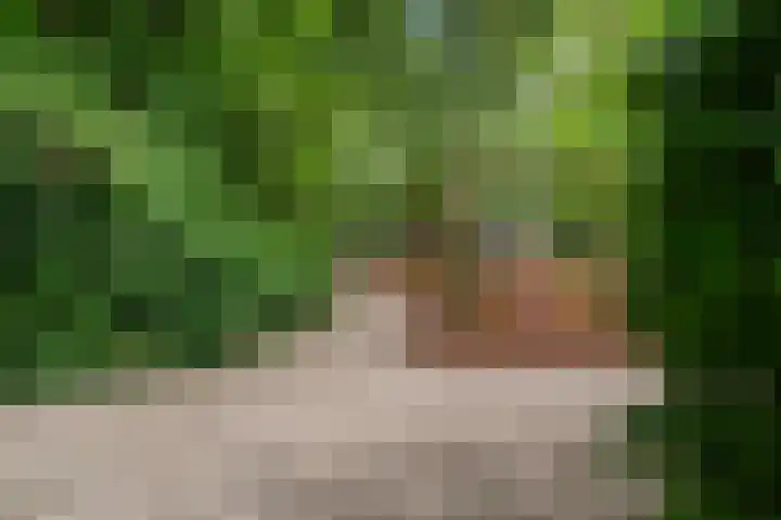 Laan van Meerdervoort 189 C 1 Den Haag thumbnail 53