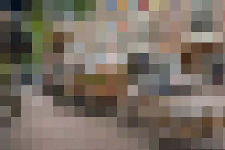 Laan van Meerdervoort 189 C 1 Den Haag thumbnail 56