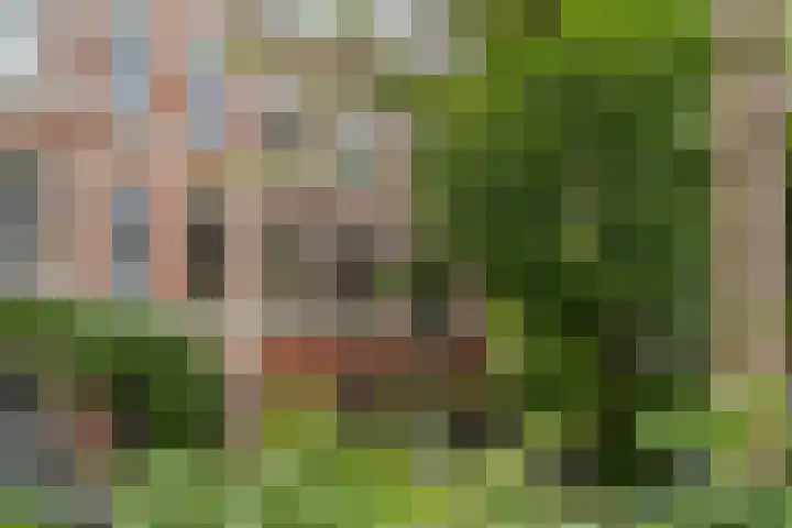Laan van Meerdervoort 189 C 1 Den Haag thumbnail 7