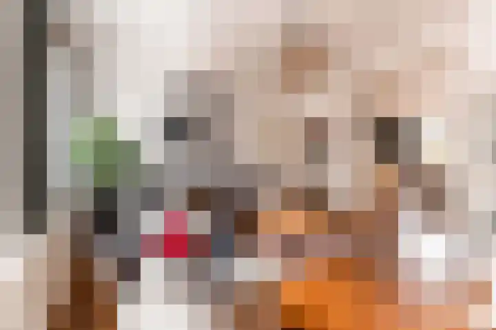 Laan van Meerdervoort 202 Den Haag thumbnail 10