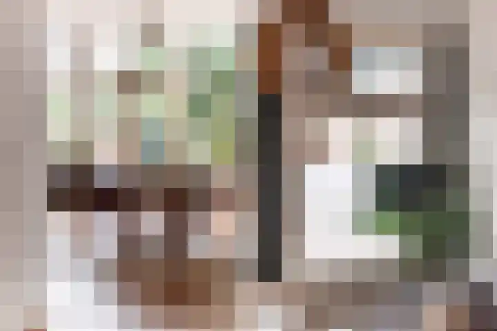 Laan van Meerdervoort 202 Den Haag thumbnail 13
