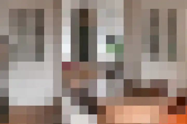 Laan van Meerdervoort 202 Den Haag thumbnail 14