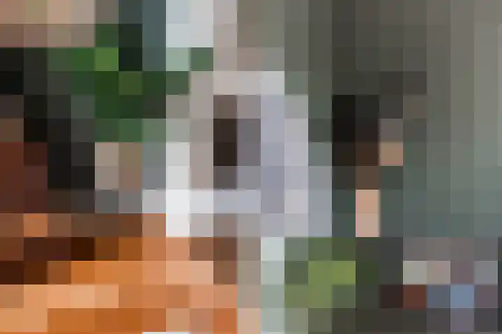 Laan van Meerdervoort 202 Den Haag thumbnail 17