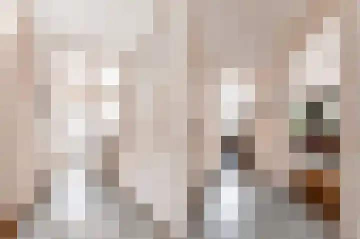 Laan van Meerdervoort 202 Den Haag thumbnail 21